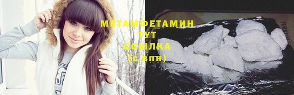 ГАЛЛЮЦИНОГЕННЫЕ ГРИБЫ Пересвет
