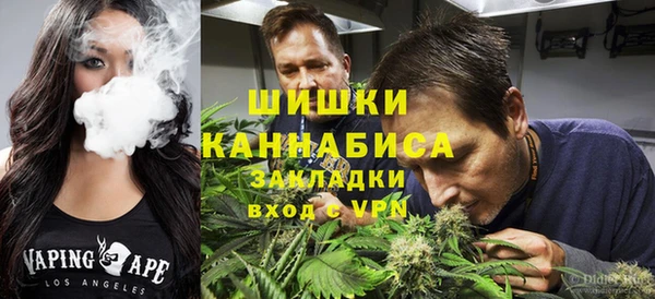 ГАЛЛЮЦИНОГЕННЫЕ ГРИБЫ Пересвет