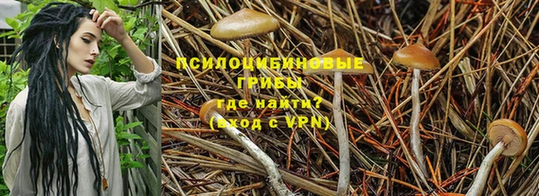 прущий лед Переславль-Залесский